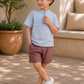 Toddler Boys Sky Blue Striped Henley T-Shirt with Mauve Shorts | Casual Cotton Summer Co-ord Set for Kids (2–9 Years)