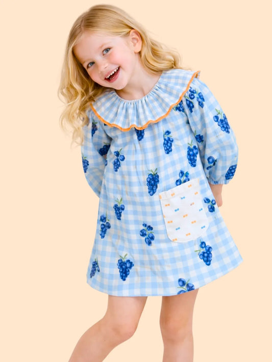 Girls Blue Gingham Dress with Grape Print | Cute Frill Collar Dress for Kids (2-6 Years)