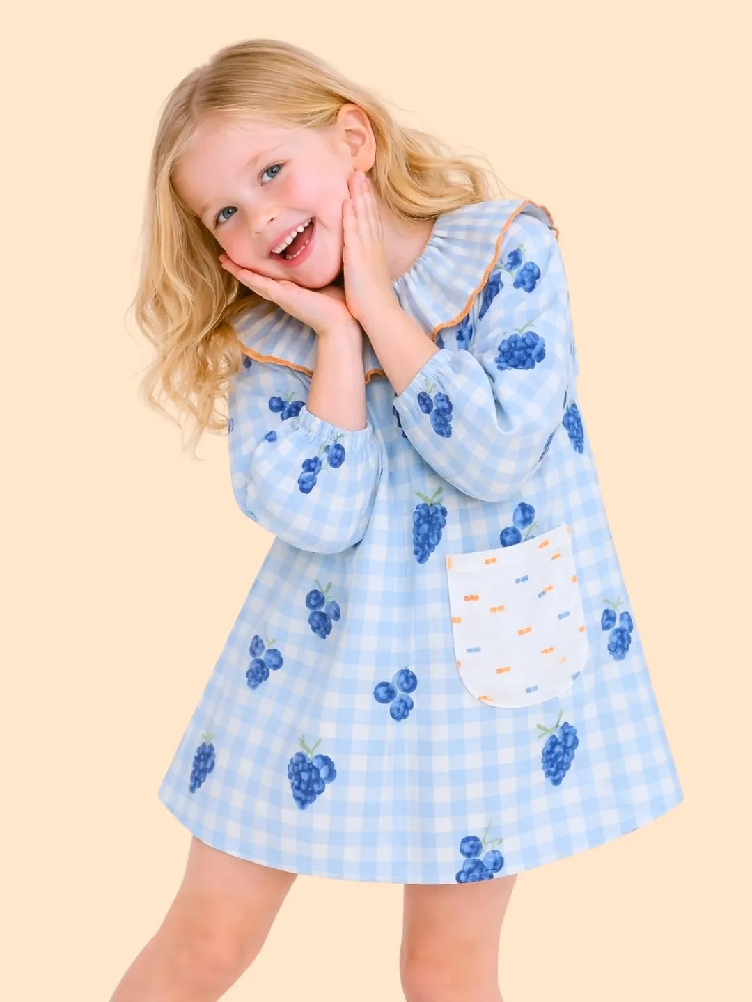 Girls Blue Gingham Dress with Grape Print | Cute Frill Collar Dress for Kids (2-6 Years)