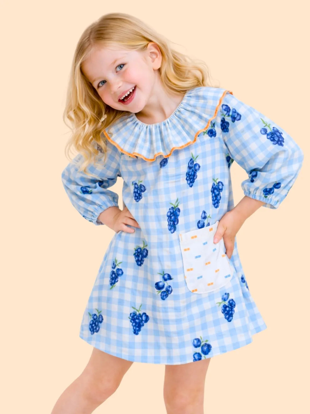 Girls Blue Gingham Dress with Grape Print | Cute Frill Collar Dress for Kids (2-6 Years)