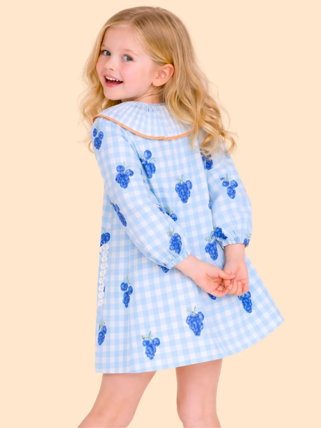 Girls Blue Gingham Dress with Grape Print | Cute Frill Collar Dress for Kids (2-6 Years)
