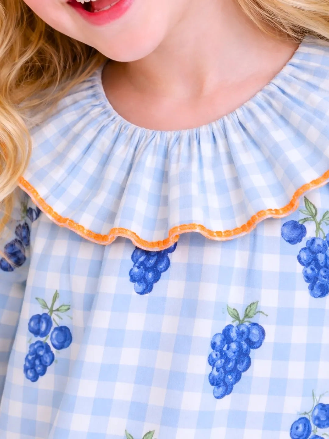 Girls Blue Gingham Dress with Grape Print | Cute Frill Collar Dress for Kids (2-6 Years)